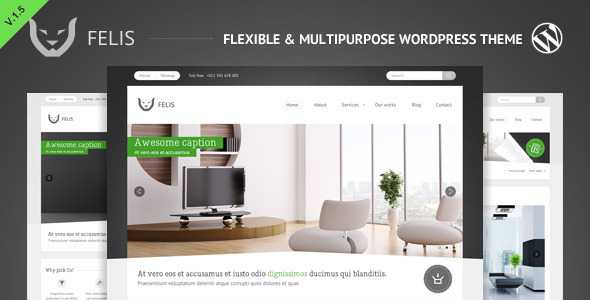 Felis - Themeforest Flexible & Multipurpose WP Theme