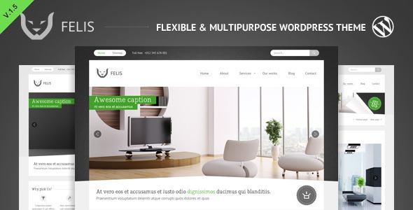 FELIS - THEMEFOREST FLEXIBLE & MULTIPURPOSE WP THEME