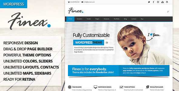 Finex - Responsive Multi-Purpose Wordpress Theme