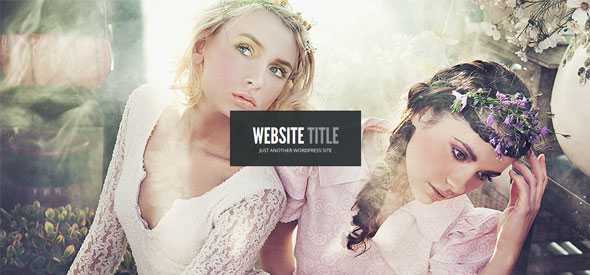 Gleam - ElegantThemes Premium Theme