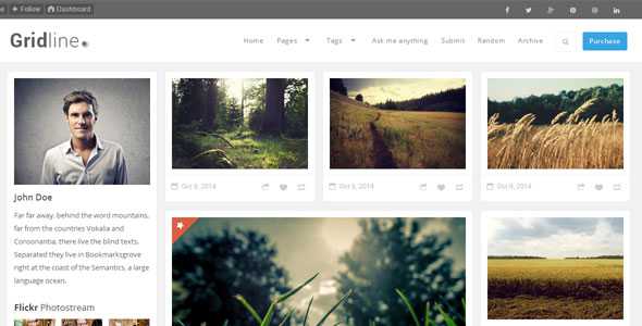GridLine - Responsive Tumblr Grid Theme