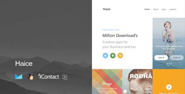 Haice Mail v1.0 - Responsive E-mail Template + Online Access