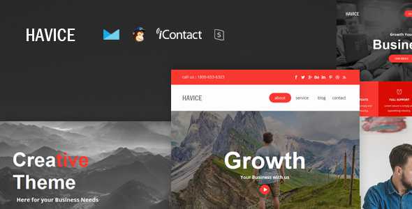 Havice Mail v1.0 - Responsive E-mail Template + Online Access