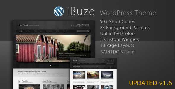 iBuze, Premium Themeforest WordPress Theme