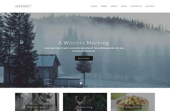 Instinct - Blog & Portfolio Template