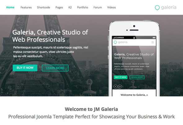 JM Galeria - Creativemarket Responsive template