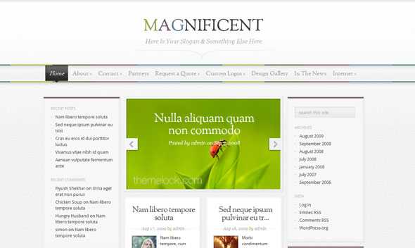 Magnificent ElegantThemes WordPress Theme