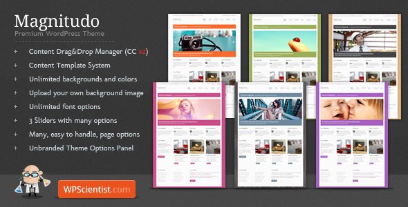 MAGNITUDO - POWERFUL THEMEFOREST WORDPRESS BUSINESS THEME