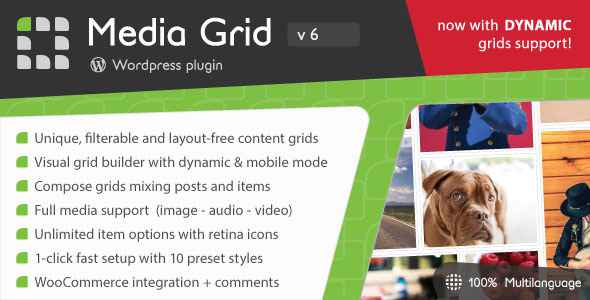 Media Grid v6.2 - Wordpress Responsive Portfolio