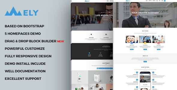 Mely - Responsive Business Drupal Theme