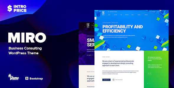Miro v1.0 - Business Consulting WordPress Theme