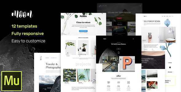 Moon v1.0 - Responsive Portfolio Adobe Muse Templates