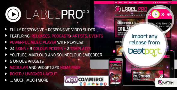 Music Label Pro - Responsive Music Wordpress Theme