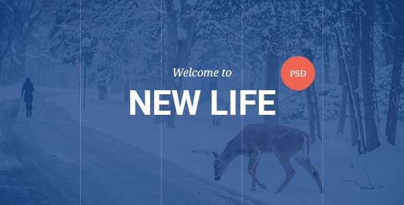 New Life PSD Template