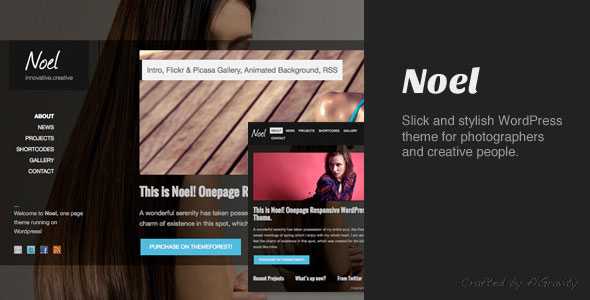 Noel v1.4 - Responsive Onepage WordPress Theme