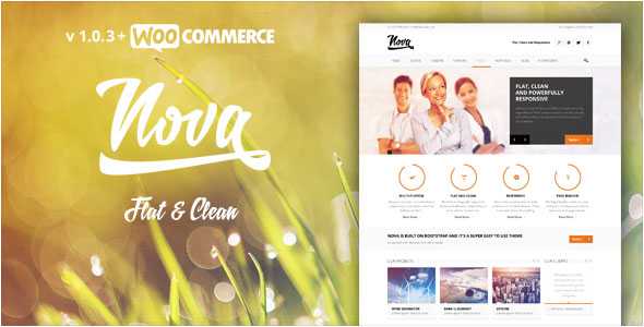 Nova - Themeforest Flat & Clean Responsive Theme