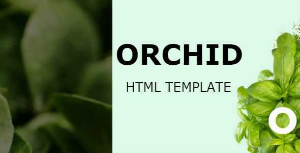 Orchid - HTML Template