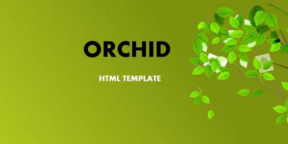 Orchid v1.0 - HTML Template