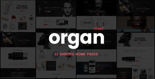 Organ - Creative Multi-Purpose Business, Finance HTML5
