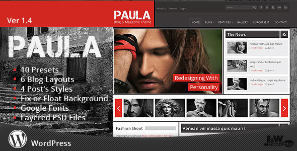 PAULA - BLOG & MAGAZINE THEMEFOREST WORDPRESS THEME