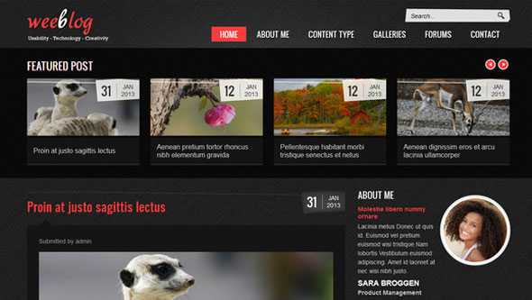 Personal Blog - Creativemarket Drupal Theme