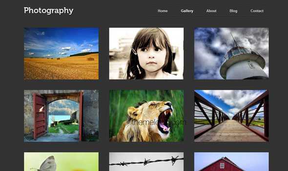 Photography ThemeFoundry WordPress Theme