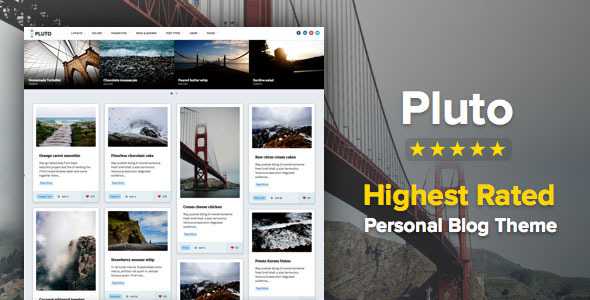 Pluto v2.1.1 - Clean Personal WordPress Masonry Blog Theme