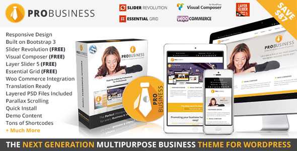 PRO Business v1.9.1 - Responsive Multi-Purpose Theme