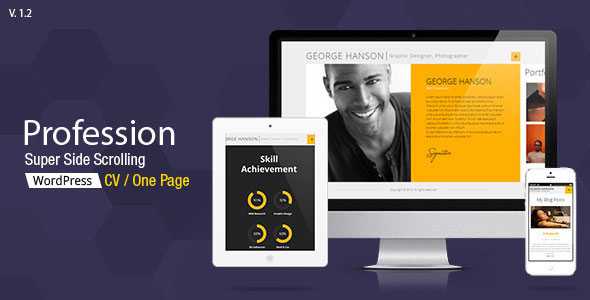 Profession - Themeforest One Page CV Responsive WP Theme