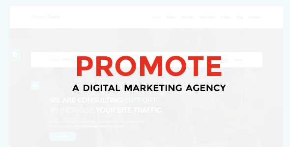 Promote - Digital Marketing Agency