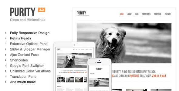 Purity: Themeforest Responsive, Clean, Minimal & Bold WP Theme