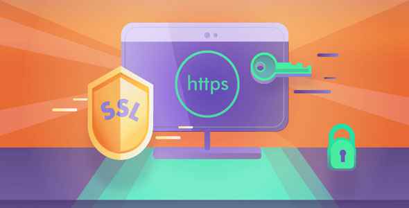 Really Simple SSL Pro v2.1.14