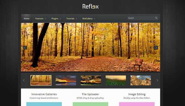 Reflex - Rockettheme Wordpress template