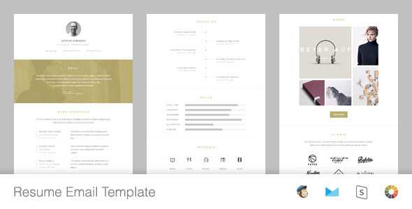 Resume - Responsive Email Template + Online Editor