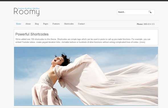 Roomy - Templatesold WordPress Template