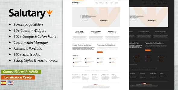 Salutary - Business & Portfolio WordPress Themeforest Theme