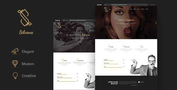 Silvana v1.0 - Creative Onepage Agency Template