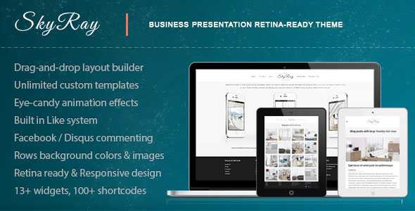 Skyray - Themeforest Business Presentation Retina Theme