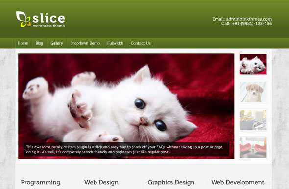Slice InkThemes Premium WordPress Theme