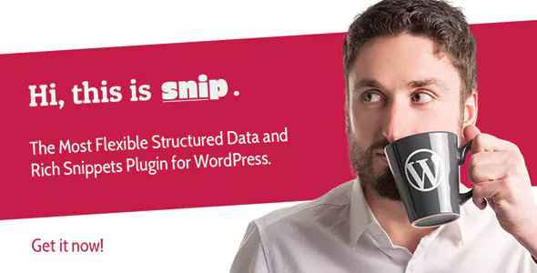 SNIP v2.17.3 - Structured Data Plugin for WordPress