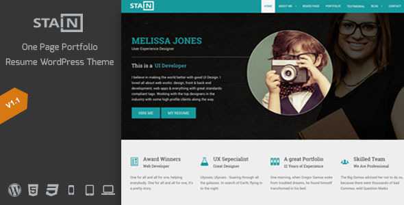 Stain - One Page Portfolio Resume WordPress Theme