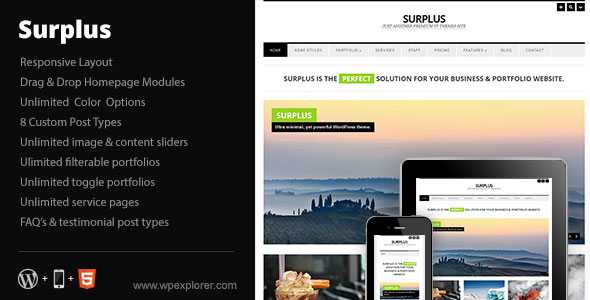 Surplus - Minimal Responsive Business WP Theme