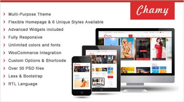 SW Chamy - Smartaddons Responsive WordPress Theme