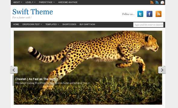 Swift - Premium Fast Loading Wordpress Theme
