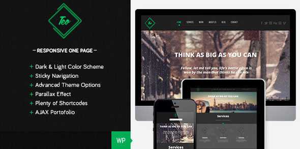Teo - Responsive Parallax Single Page Theme