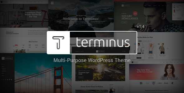 Terminus v1.4 - Responsive Multi-Purpose WordPress Theme