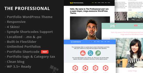 The Professional - Themeforest WordPress Theme
