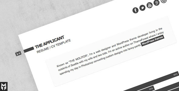 The Applicant: Resume / CV HTML Themeforest Template