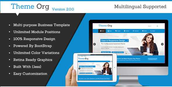 Theme-Org - Themeforest Responsive Multi-Purpose Joomla Theme