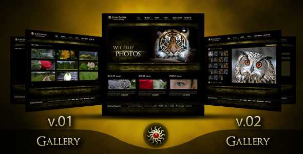 Themeforest Modern Photographer Portfolio - 2 Gallery